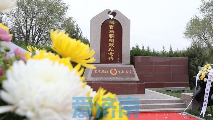 图片31.png